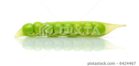 pod of peas on a white background pod of peas on a white background 6424467