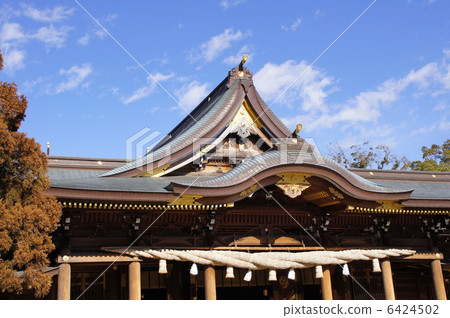 寒川神社 6424502