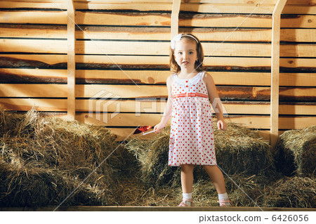 Girl on Hayloft 6426056