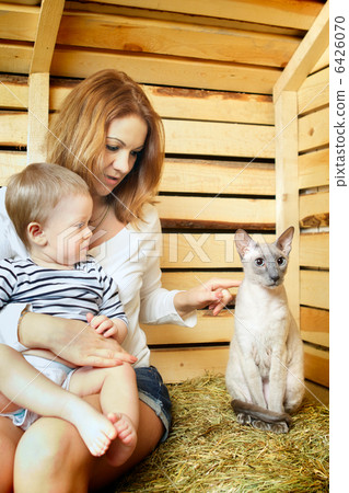 Mother, Baby and Cat 6426070