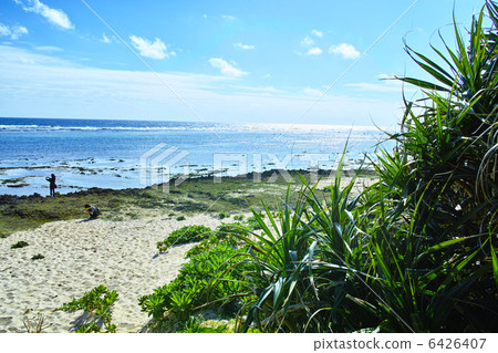 Kujakushima Ishiki Beach Kujakushima Ishiki Beach 6426407