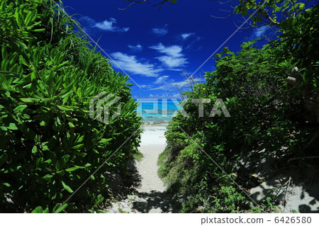 Kurimajima的長哈馬入口 6426580