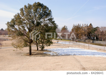 图库照片: 武藏野森林公园在早春