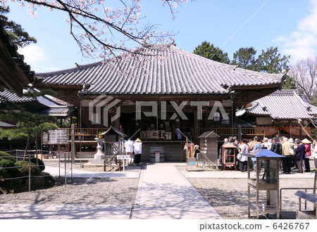 四國神社工廠67號佛教寺院“Daeshenji(大雄寶殿)”櫻花和朝聖者 四國神社工廠67號佛教寺院“Daeshenji(大雄寶殿)”櫻花和朝聖者 6426767
