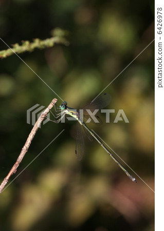 I will rest, I will take a rest I will rest, I will take a rest 6426978