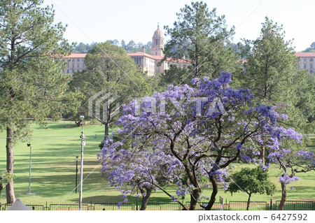 South Africa Pretoria streets South Africa Pretoria streets 6427592