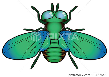 Fly Fly 6427643