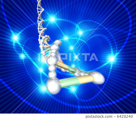 DNA·基因序列圖像 6428240
