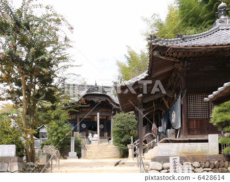 四國大佛第57佛“Eifukuji”大雄寶殿和大正堂 6428614