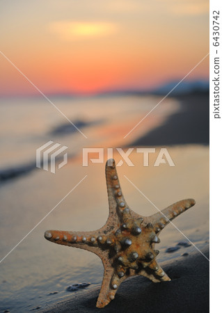 summer beach sunset with star on beach 6430742