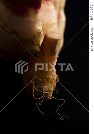 新姜 新姜 6431141