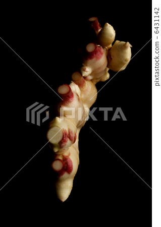 新姜 新姜 6431142