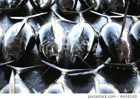 Landscape of snake grass 6438140