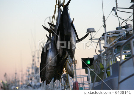 Deep-fried lobster clam 6438141