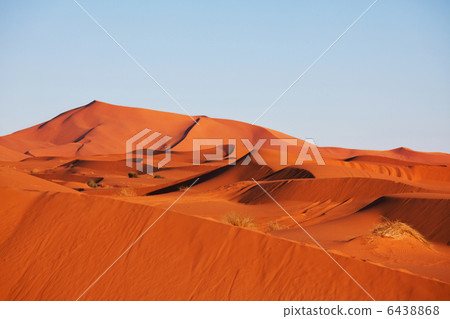 Desert 6438868