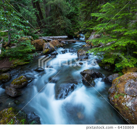 Creek in forest Creek in forest 6438869