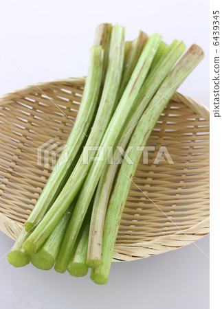 一個敷料 6439345