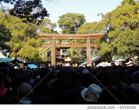 Meiji Shrine Hatsumotsu 6439398