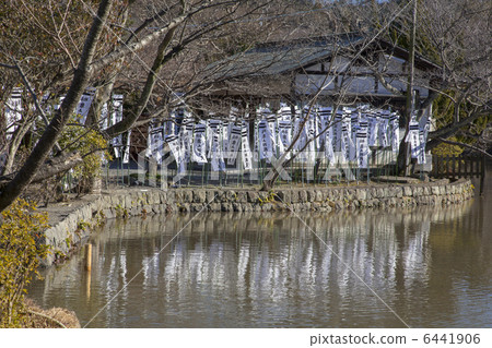 Tsurugaoka Hachimangu Shrine of Kamakura 6441906