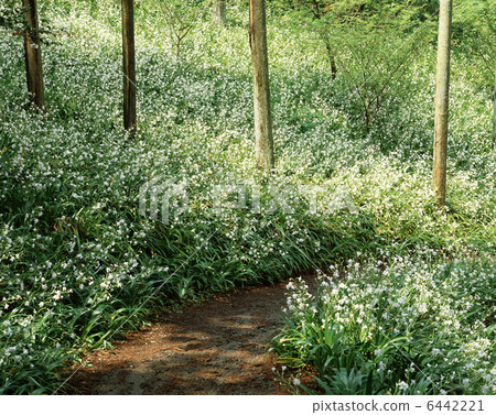 Shaga community Shaga community 6442221