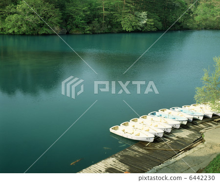 Fresh green Bishamon Swamp 6442230