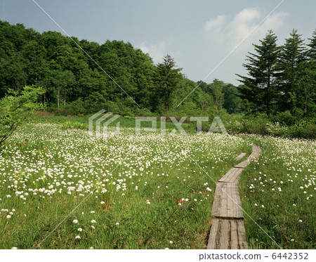 Watassege社區 6442352