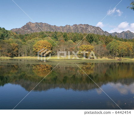 Fall autumn birds pond and Togakushi 6442454