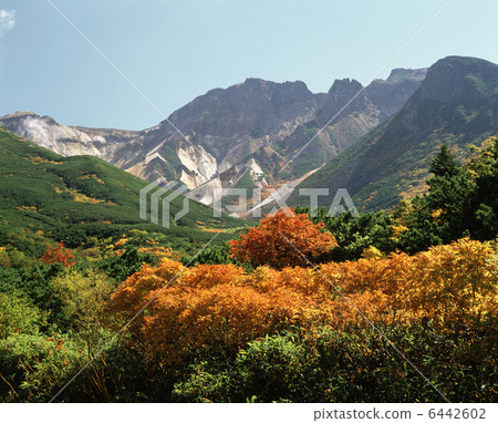 秋葉和上層故鄉 6442602