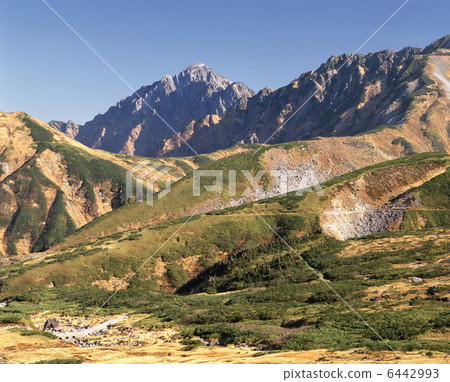 肌腱長焦 肌腱長焦 6442993