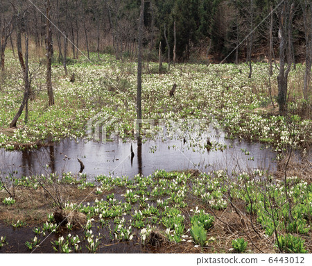 Water Basho集團 6443012