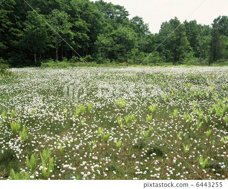 Watassege社區 Watassege社區 6443255