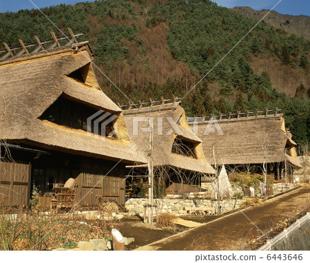 Saiko Iyashi no Satoba 6443646