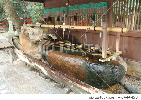 Shimogamo神社 6444453