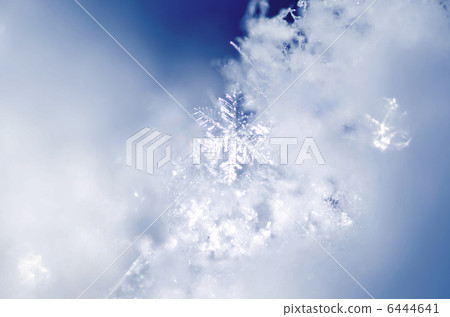 雪花 6444641
