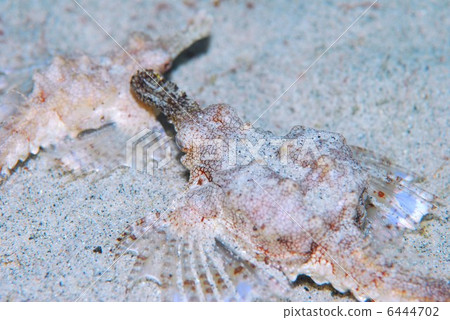 Umiten Umiten 6444702