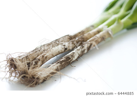 Mud with leek 6444885