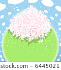 Sakura blooms stars 6445021