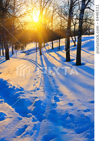 Sunset in winter forest Sunset in winter forest 6446531