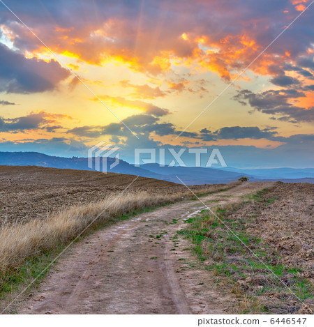 Tuscany landscape 6446547