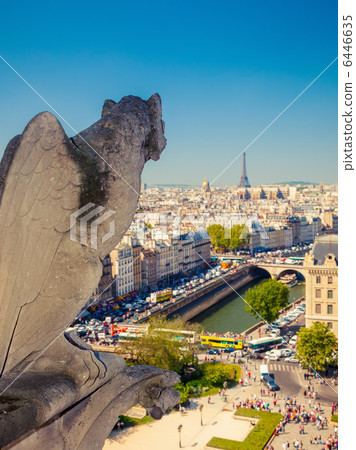 Gargoyle on Notre Dame Cathedral 6446635