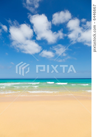 Beautiful ocean beach 6446667