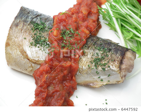 Saute of mackerel Tomato sauce 6447592