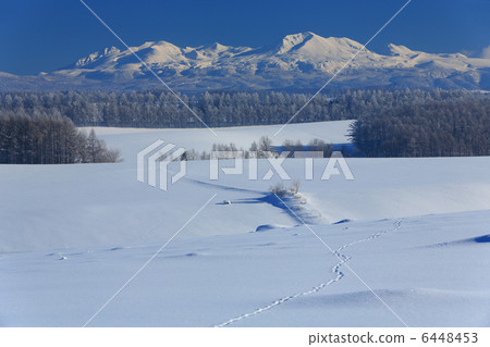 Footprints, tree ice and Asahidake 6448453