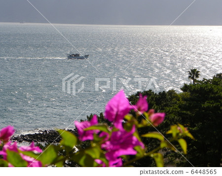 指宿酒店指宿1 6448565