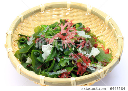 海草 海草 6448584