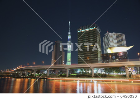 東京晴空塔 白樹 夜景 6450050