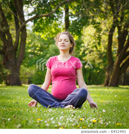 Beautiful pregnant woman in the park 6452491