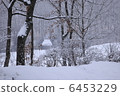 Snow Kurokawa 6453229