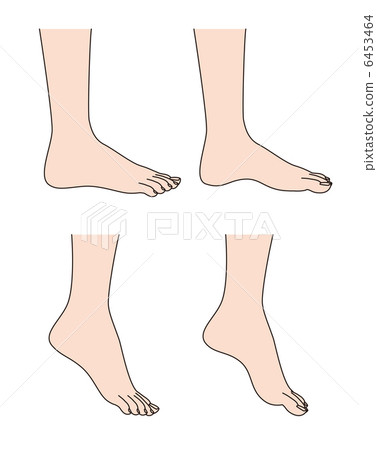 身體部位腳側 身體部位腳側 6453464