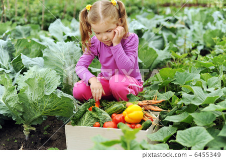 Little girl in the garden Little girl in the garden 6455349